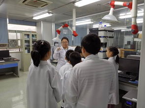 技術(shù)服務(wù)社會(huì) 科學(xué)實(shí)驗(yàn)中心黨支部首屆少兒科普活動(dòng)圓滿成功